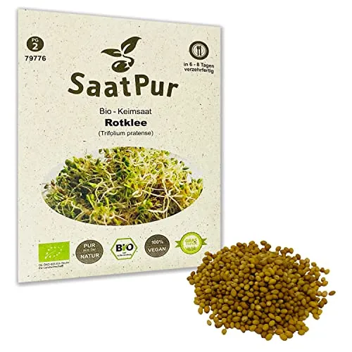 Rotklee BIO Keimsprossen von SaatPur - Keimsaat für Sprossen, Microgreens - 50g