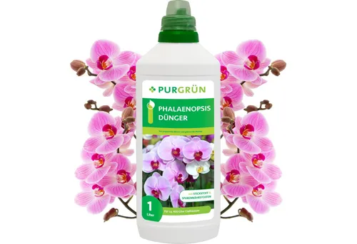 Purgrün Phalaenopsis Dünger 1L von Purgrün