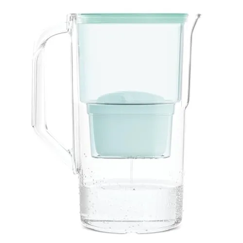 Wessper Wasserfilterkanne 2.5 L | Kartuschen Ersatz für Dafi Unimax Aquaphor A5 BRITA Maxtra+ PHILIPS AWP212/10 | Reduzierung von Kalk, Chlor | Inklusive 1 Wasserfilterkanne + Wasserfilter - Minze