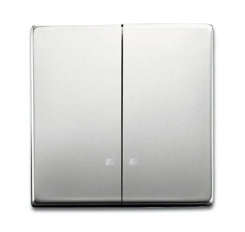 Busch-Jaeger 1785 K-866 Wippe 2-fach mit kleiner transparenter Kalotte, edelstahl matt, pur Edelstahl