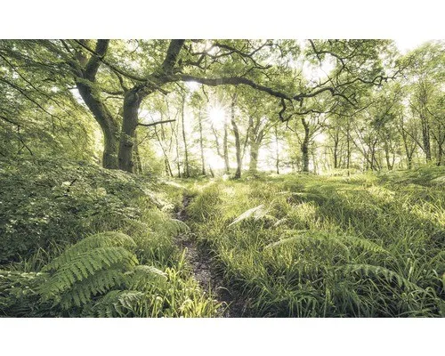 Komar Vliestapete Mystic Path von Komar