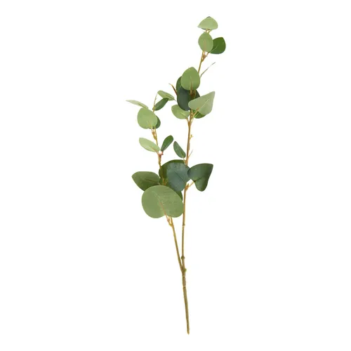 DPI Eukalyptus Zweig 43cm Gewächs natürlich grün Pflanze Floristik Dekoration