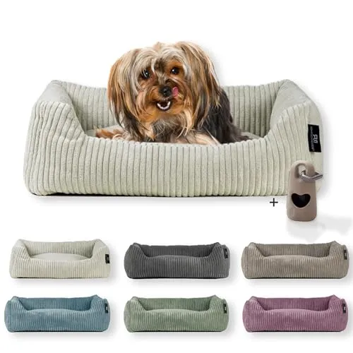 Hundebetten Beige von Rohrschneider