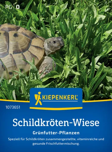 Kiepenkerl Pflanzen von Kiepenkerl