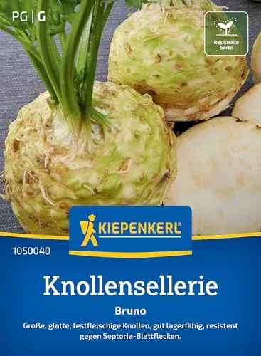 Kiepenkerl Knollenselleriesamen Bruno 1050040 - Festfleischige Knollen - Resistente Sorte - Inhalt für 80 Pflanzen - Gemüsesamen, Samen Gemüse, Saatgut