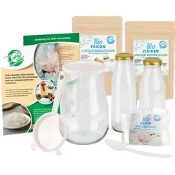 Wasserkefir Starter-Set von Curly Superfood