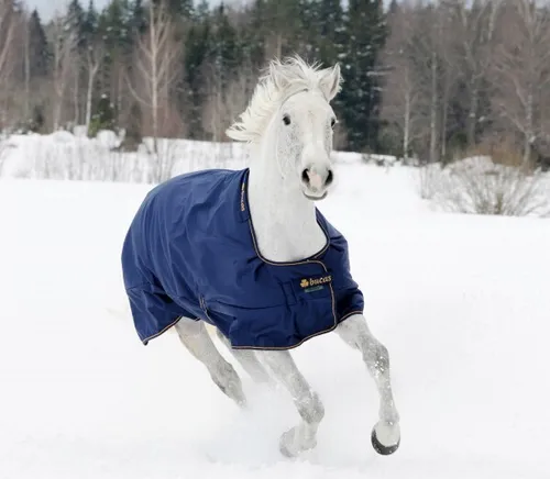 Bucas Irish Turnout Extra Classic Weidedecke 145 cm von Bucas