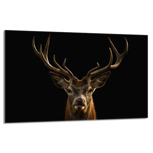 Glasschutzplatte für den Herd 80x52 Hirsch