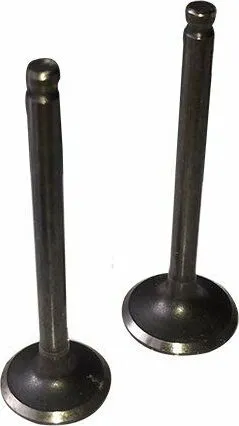 Ventil Set 110 ccm Pit Bike Dirt Bike Monkey Kinderquad HMParts