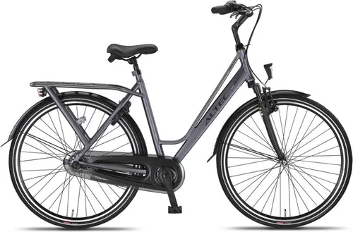 Delta 28 Zoll 56 cm Damen 3G Rollerbrakes Mattgrau