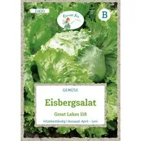 Grüne Fee Eisbergsalat Great Lakes 118 Saatgut