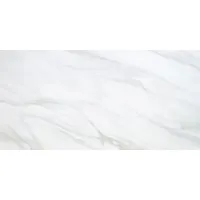 Bodenfliese Feinsteinzeug Glasiert Glänzend 60 cm x 120 cm - Moderne Fliese in Marmor-Optik, ideal für Wohnräume mit mittlerer Beanspruchung. Robustes, pflegeleichtes Feinsteinzeug mit glänzender Oberfläche für ein elegantes Raumgefühl.