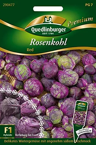 Quedlinburger 290477 Rosenkohl Redarling (Rosenkohlsamen)