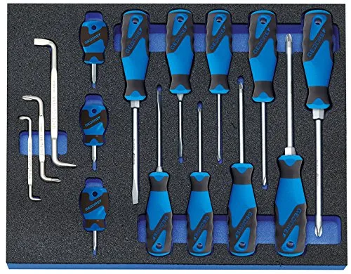 Gedore 2005 CT2-2160 Schraubendreher-Set - Schraubendreher-Set mit 16 hochwertigen Präzisionswerkzeugen, ideal für Profis und Hobby-Handwerker. Robuste Verarbeitung für langlebige Nutzung.