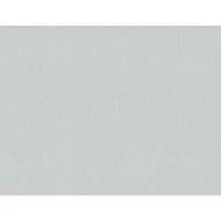 Vliestapete Uni Hellgrau - 1,005.00 x 53.00 cm