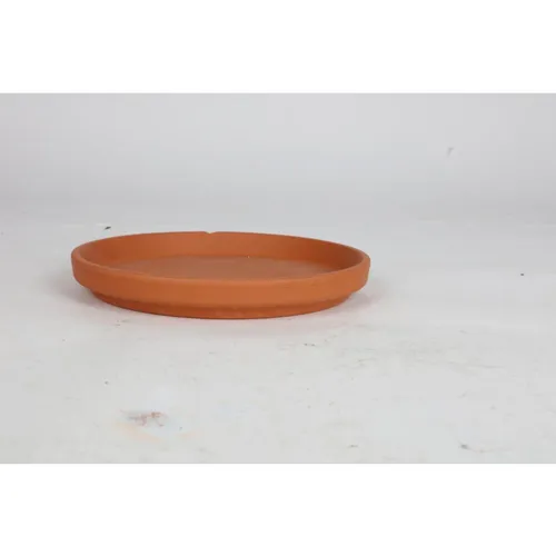 5x Terrakotta Untersetzer 22 cm für Blumentöpfe - Praktisches Set aus 5 runden Terrakotta-Untersetzern (22 cm) für Innen- und Außenbereich, ideal für eine saubere Pflege Ihrer Pflanzen und ein stilvolles Ambiente.