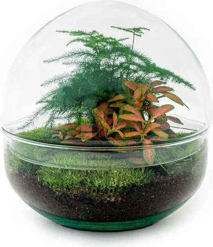 Urbanjngl Flaschengarten Dome Rot - 20 cm