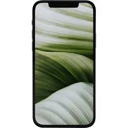 GOECO Apple iPhone 12 mini von #GOECO