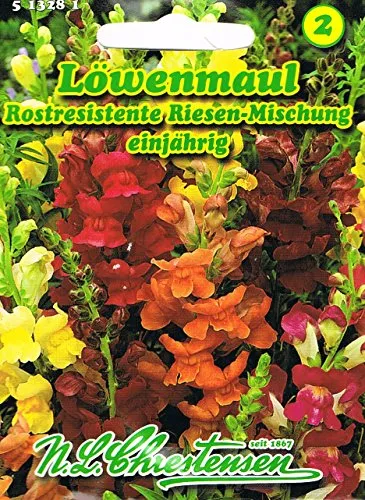 Löwenmaul 'Rostresistente Riesen-Mischung ' einjährig , riesenblumige, rostresistent, mit langen Stielen (Antirrhinum majus maximum)