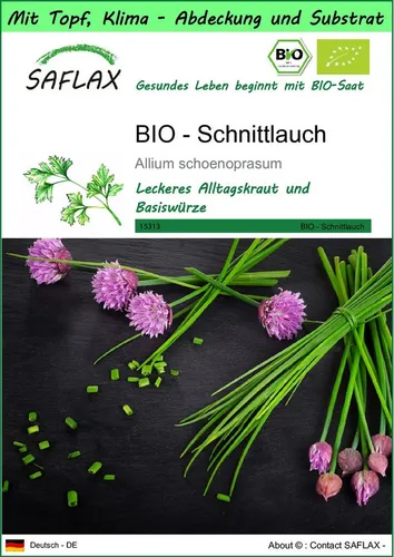 SAFLAX Kräutersamen SAFLAX - Garden to go - BIO - Schnittlauch