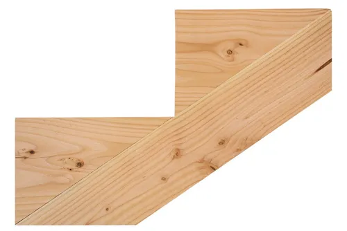 Gartenwelt Riegelsberger Treppenwange für 2 Stufen aus Lärche