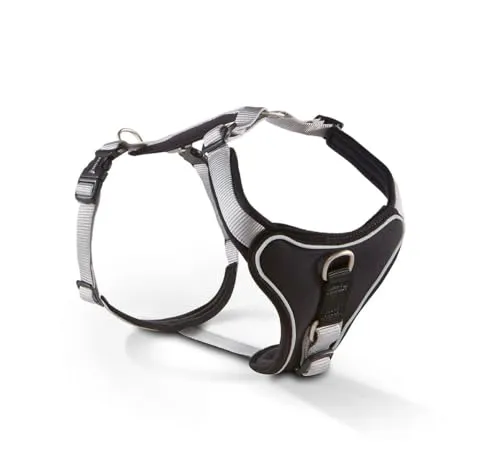 WOLTERS Geschirr Professional Comfort 35-40 cm von Wolters