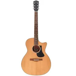 Eastman PCH1-GACE von Eastman