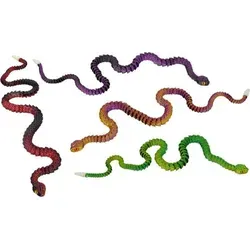 Klapperschlange von Coppenrath Verlag