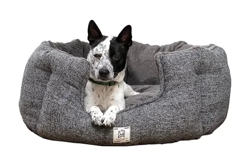 Beeztees Nano Hundebett Chill Kuzzi, Grau, 58 x 58 x 30 cm in grau von Beeztees