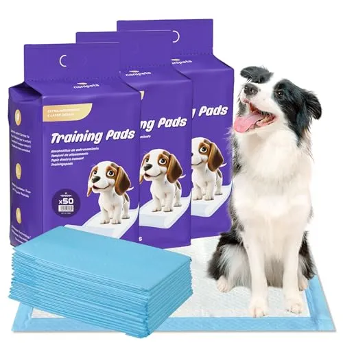 Nanipets® Trainingspad für Hunde - Superabsorbierende Wickelunterlagen, 45 x 60 cm, 150 Stück - Die Nanipets® Trainingspads bieten ein 6-lagiges, super saugfähiges Design für optimalen Schutz. Mit wasserdichter Rückseite und weicher Oberfläche sind sie ideal für die Pflege von Hunden und Welpen, auch unterwegs.