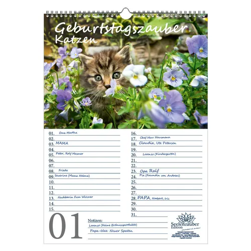 Geburtstagsplaner Geburtstagskalender Katzenzauber DIN A3 Kalender Katzen und Ka