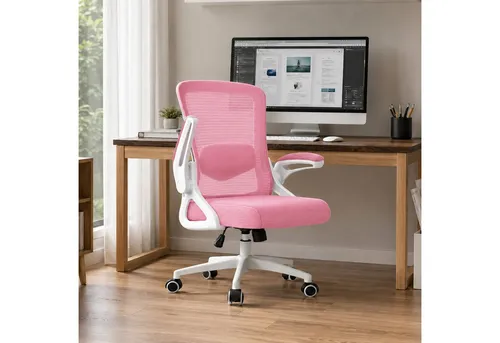 Hoolamyie Ergonomischer Bürostuhl mit Lendenstütze
