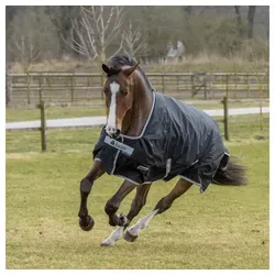 Bucas Outdoordecke Anniversary Turnout Light SD 0g - Reit- & Pferdebedarf, strapazierfähige Decke mit wasser- und atmungsaktivem Ripstop-Material sowie pflegendem Silk-feel-Futter für optimalen Komfort und Schutz bei wechselhaften Wetterbedingungen.