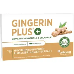 Cellavent Healthcare Bioaktiver Ingwer-Extrakt - Gingerin PLUS 1 Monat - Nahrungsergänzung mit hohem Scharfstoffgehalt, liefert das Potenzial von 18 g frischem Ingwer pro Tagesdosis, ergänzt durch Bio-Rosmarin und Bio-Olivenöl für optimale Bioverfügbarkeit.