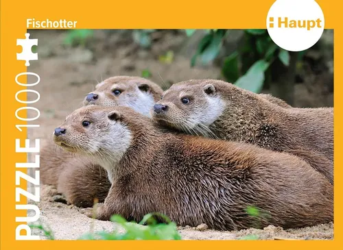 Fischotter Puzzle 1000 Teile - Fesselndes 1000 Teile Puzzle von Haupt Verlag, ideal für Tierliebhaber und Puzzle-Fans. Entdecken Sie die Welt der Fischotter in hochwertiger Qualität - perfekt für entspannte Spielabende!