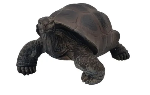 Dekofigur Schildkröte mittel 23 x 33 x 39 cm - Gartenfiguren: Charmante Schildkröte aus wetterfestem Material, perfekt zur Verschönerung Ihres Gartens oder Balkons.