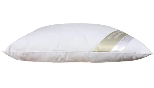 Hofmann Kopfkissen 40x50 Kleinkissen Kissen Federkissen 400 g prall 30% Daunen