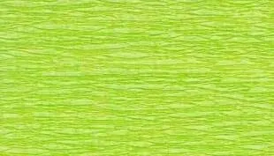 Idena 617153 - Krepppapier 1 Rolle 50 x 250 cm, weiß - grün