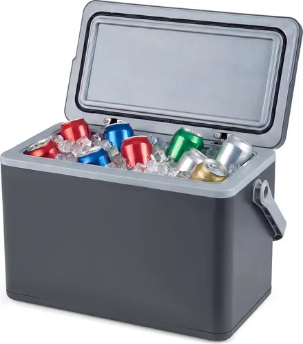 COSTWAY Tragbare Hartschalen-Kühlbox 12 L