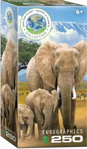 Eurographics Puzzle Elephants 250 Teile von Eurographics