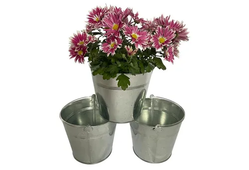 Online-Fuchs Blumentopf 3er Set Pflanzgefäße aus Zink Silber Metall Übertopf Kräuter P45, 19 x 19 x 16 cm, schlicht Henkel Eimer-Design Garten Terrasse Balkon