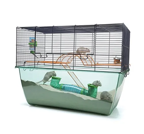 Nobby Kleintierkäfig Habitat XL 70 x 51 cm - Käfige & Laufställe für Kleintiere, großzügiger Lebensraum für kleine Tiere mit optimaler Belüftung und einfacher Reinigung.