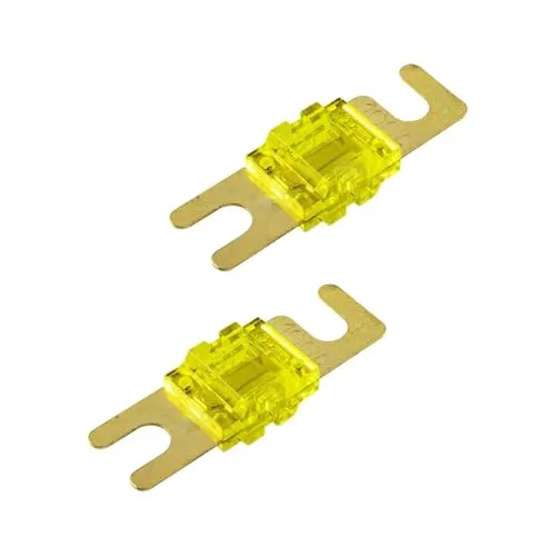 tomzz Audio 5800-064 Mini ANL Sicherung 100A 2 Stück mit vergoldeten Kontakten