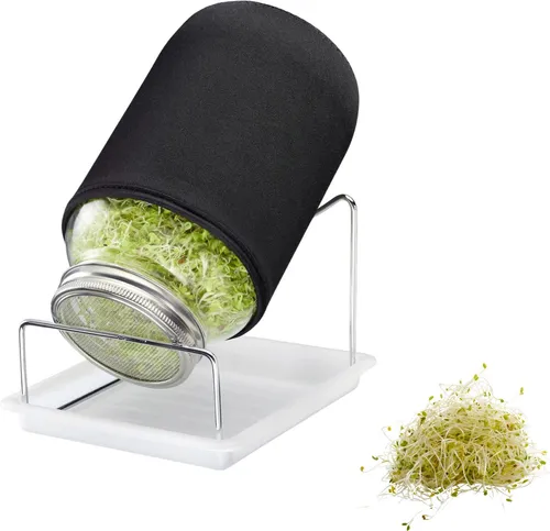 WESTMARK Anzuchttopf für Sprossen, 2000 ml - Pflanzkübel aus hochwertigem Glas und Edelstahl, ideal für die einfache Sprossenzucht zu Hause – teilweise spülmaschinengeeignet für mühelose Reinigung.