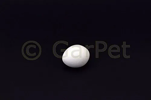 Eier von GarPet