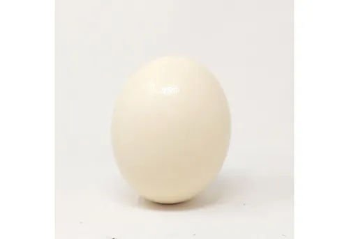 Produktbild CreaFlor Home Dekofigur Deko, Höhe: 14.5cm, Farbe: Weiß, Motiv: Ei