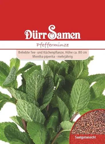 Dürr-Samen - Pfefferminze Saatgut