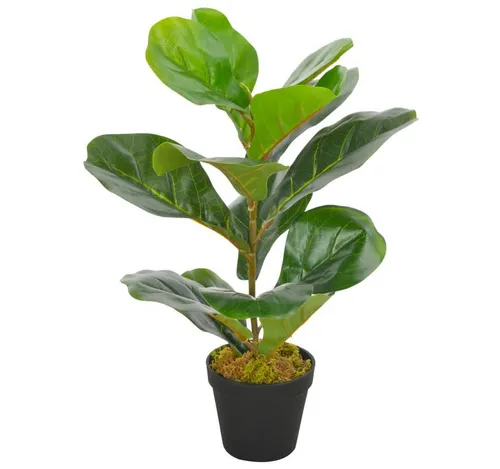 Kunstpflanze Geigen-Feige 45 cm - Künstliche Pflanzen, pflegeleichte Geigen-Feige mit natürlichem Aussehen, ideal für dekorative Akzente in jedem Raum.