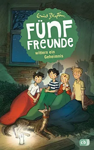 Fünf Freunde wittern ein Geheimnis (Einzelbände, Band 15)