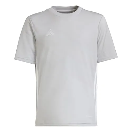 adidas Unisex Kids Jersey (Short Sleeve) Tabela 23 Jersey, Team Light Grey/White, IA9153, 140